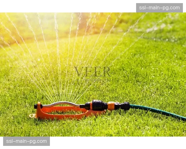 伯纳乌球场升级草坪灌溉与排水系统，以适配更高节奏、更多冲刺的比赛需求